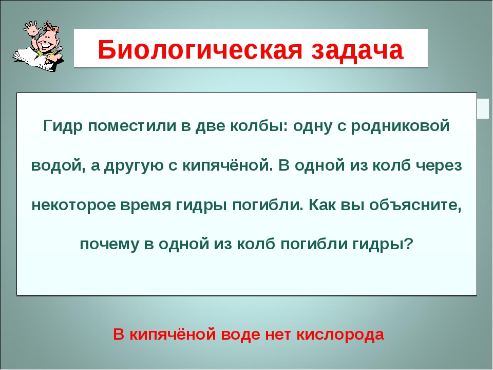 Не работает сайт blacksprut сегодня